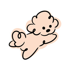 Cute doodles. Fluffy dog. Poodle, lapdog, spitz. Minimalistic illustration, children's print.