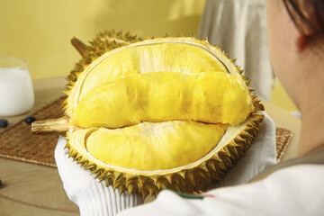 Fresh Golden Durian Fruit with Spiky Shell Opened Showing Creamy Yellow Flesh - Tropical Asian...