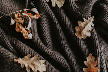 Autumn Oak Leaves on Dark Textured Fabric Reflecting Fall Serenity