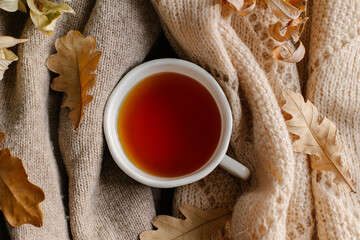 Cozy Autumn Scene With Warm Tea and Fallen Leaves on a Blanket