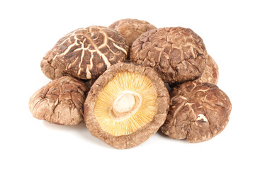 Fresh Dried Shiitake Mushrooms with Golden Gills on White Background