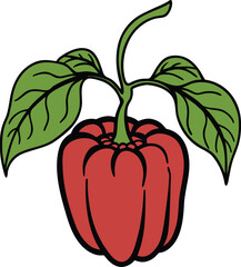 Red bell pepper with green leaves and stem on white background Keywords: bell pepper, red pepper, vegetable, food, healthy, organic, fresh, ingredient, cooking, garnish, illustration, drawing