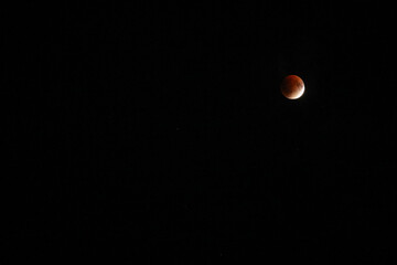 A beautiful rare blood moon on a dark night sky
