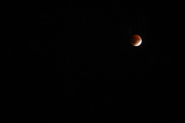 A beautiful rare blood moon on a dark night sky