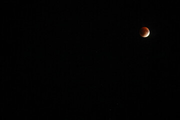 A beautiful rare blood moon on a dark night sky