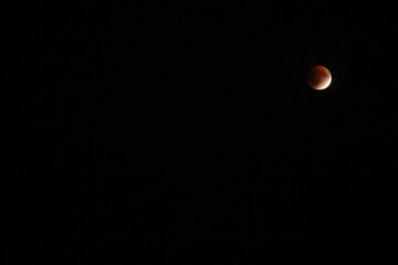 A beautiful rare blood moon on a dark night sky