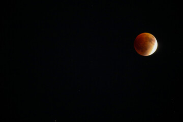 A beautiful rare blood moon on a dark night sky