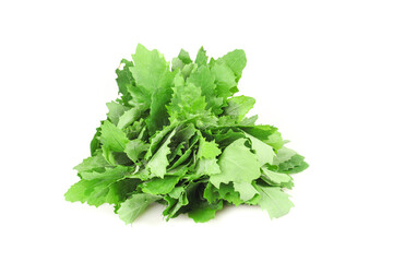 Fresh Green Leafy Vegetables Isolated on White Background