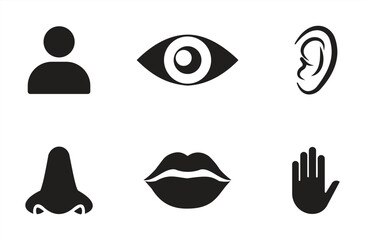 Human Senses Icon Set – Vector Illustration of Five Senses Symbols Including Eye, Ear, Nose, Mouth, and Hand for Education, Health, and Communication
