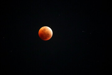 A beautiful rare blood moon on a dark night sky