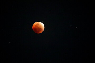 A beautiful rare blood moon on a dark night sky