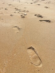 footprints in the sand