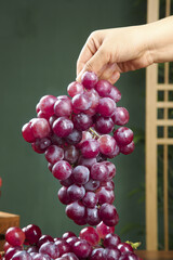 Fresh Red Grapes Bunch Held in Hand - Organic Fruit Harvest Concept