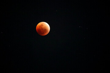 A beautiful rare blood moon on a dark night sky