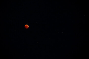 A beautiful rare blood moon on a dark night sky