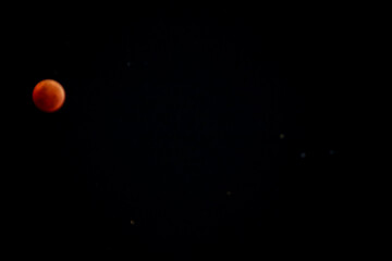 A beautiful rare blood moon on a dark night sky