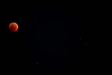 A beautiful rare blood moon on a dark night sky