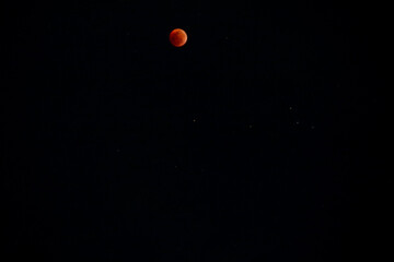 A beautiful rare blood moon on a dark night sky