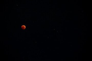 A beautiful rare blood moon on a dark night sky