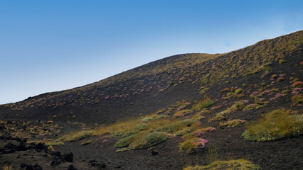 Rugged and desolate view of Mount Etna's slopes, dominated by dark volcanic rock and soil. Sparse patches of green vegetation, showing nature's resilience. Majestic mountain peak against blue sky.