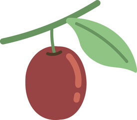 vector illustration of jujube