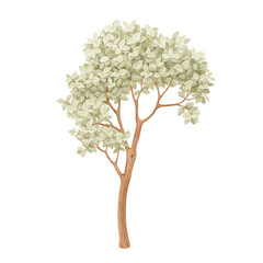 Fototapeta premium Cute green tree, watercolor isolated element nature for your cartoon design.
