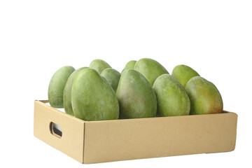 Fresh Green Mangoes in Cardboard Box on White Background - Tropical Fruit Harvest