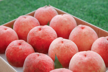 Fresh Ripe Peaches in Wooden Crate on Green Grass - Summer Fruit Harvest