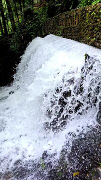Cool, clear waterfall in the middle of the forest