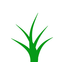 Green Grass Illustration