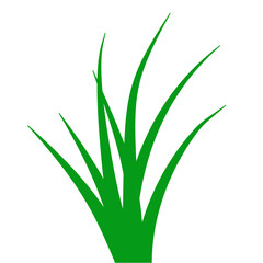 Green Grass Illustration