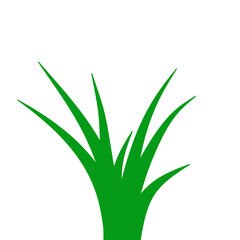 Green Grass Illustration