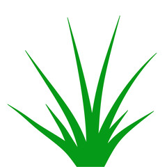 Green Grass Illustration