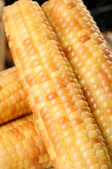 Fresh Golden Sweet Corn Cobs in Wooden Container - Healthy Organic Vegetable Harvest