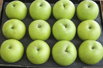 Fresh Green Pears Display Arrangement on Dark Tray - Dangshan Variety Fruit Collection