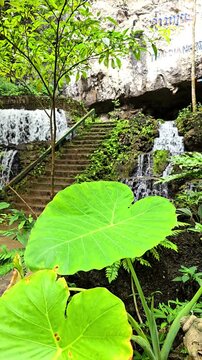Cool, clear waterfall in the middle of the forest