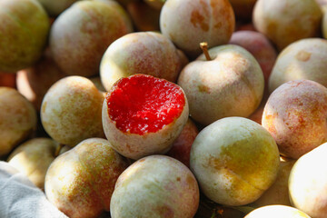 Fresh Gutian Plums from Orchard with Red Flesh Interior - Healthy Stone Fruit