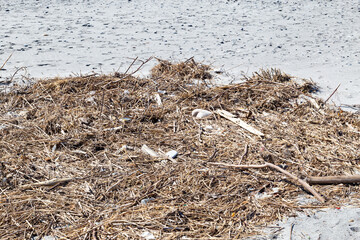 打ち上げられた漂流ゴミ
