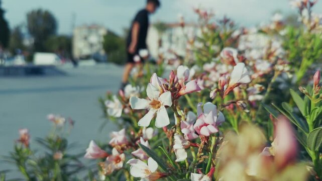Summer Flowers and Blurry Boys Skating