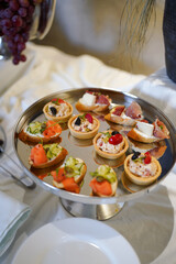 Elegant canapés with salmon, cheese, and fresh vegetables beautifully served on a silver tray at a catering event.
