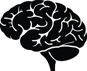 Brain silhouette clear anatomical illustration with fold detail for healthcare, teaching and scientific figure use, scalable and editable vector