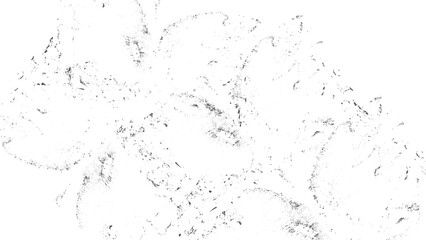 Abstract grunge texture background with grainy distressed surface details. Distressed black and white grunge background texture for design overlay. 
