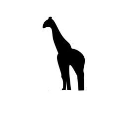 giraffe animal vector image
