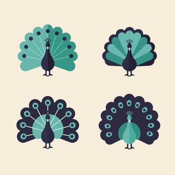 Four peacock icons, flat style