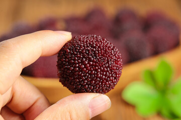 Fresh Xianju Bayberry Fruit Held in Hand - Traditional Chinese Exotic Red Berry with Textured Skin