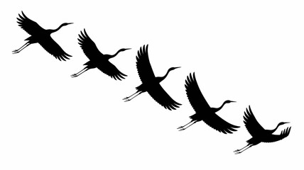Silhouette illustration of a flock of cranes flying in formation against a white background image
