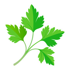 green leaf isolated on white background