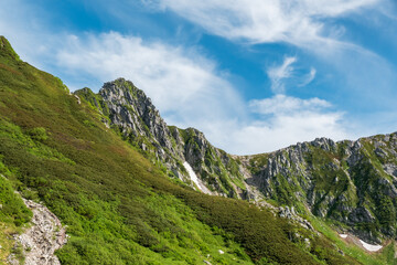 Naklejka premium 日本の自然