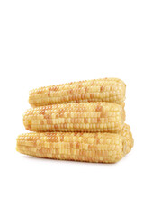 Fresh Sweet Corn Cobs Stack on White Background - Aromatic Yellow Kernels Agriculture Food Ingredient