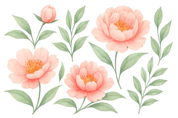 Watercolor Illustration of Peach Flowers with Green Leaves on White Background